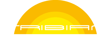 Logo - Elektro- & Gebäudetechnik Tribian GmbH